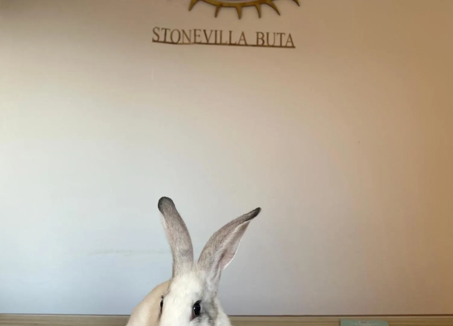 Stonevilla Buta Himare Hotel