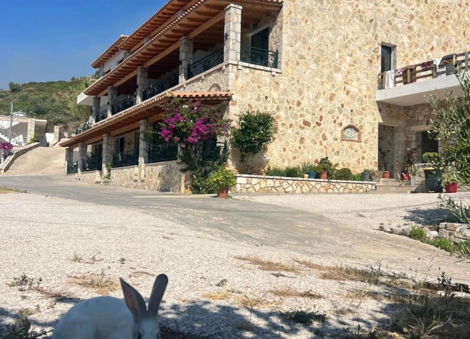 Stonevilla Buta Himare